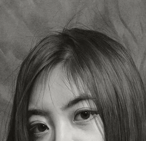 精微素描欣赏及绘画方法.