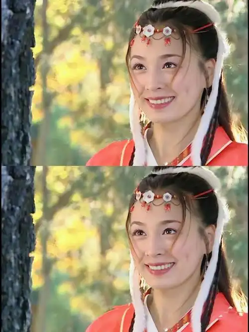 张庭|邱心志|电视剧|花姑子|菅韧姿_网易订阅