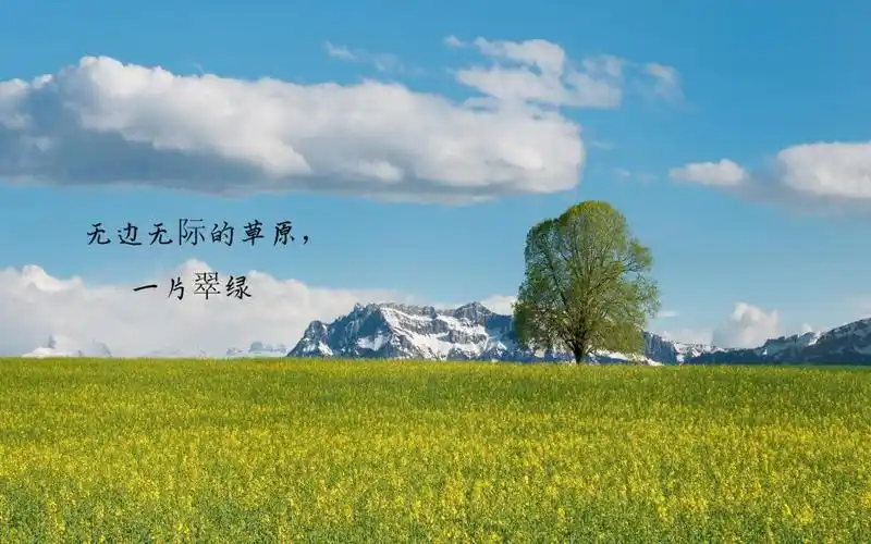 美丽的草原心情说说 ,高清壁纸图片,非主流-回车桌面