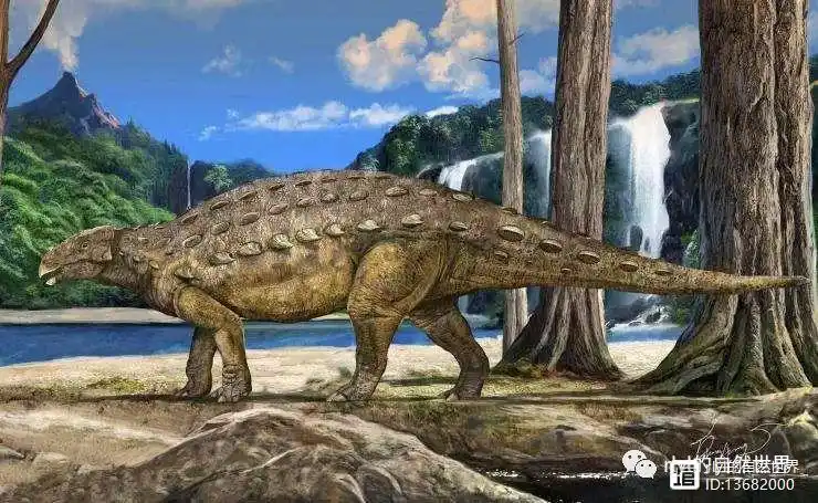 恐龙探索好梦难圆小盾龙