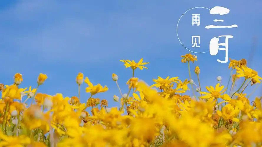 2021三月再见配图