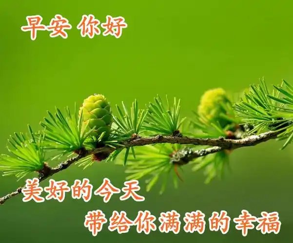 新版早上好问候语图片大全 2021最新早安祝福语带图片_手机搜狐网