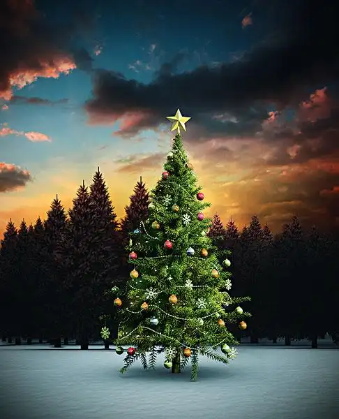 圣诞树图片_图片大全