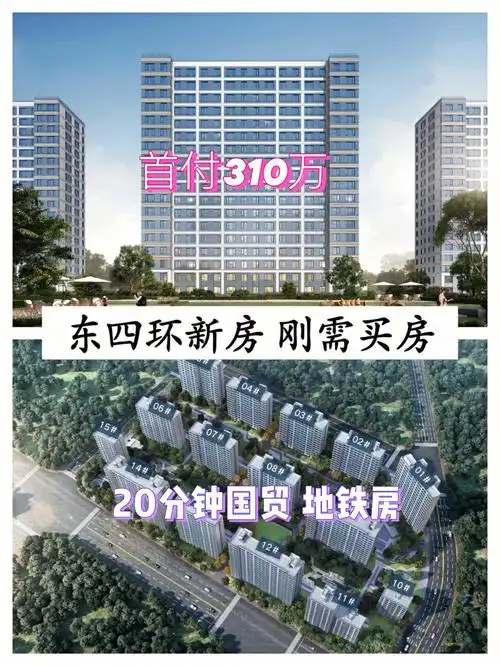 北京新房东四环刚需买房首付310万平层