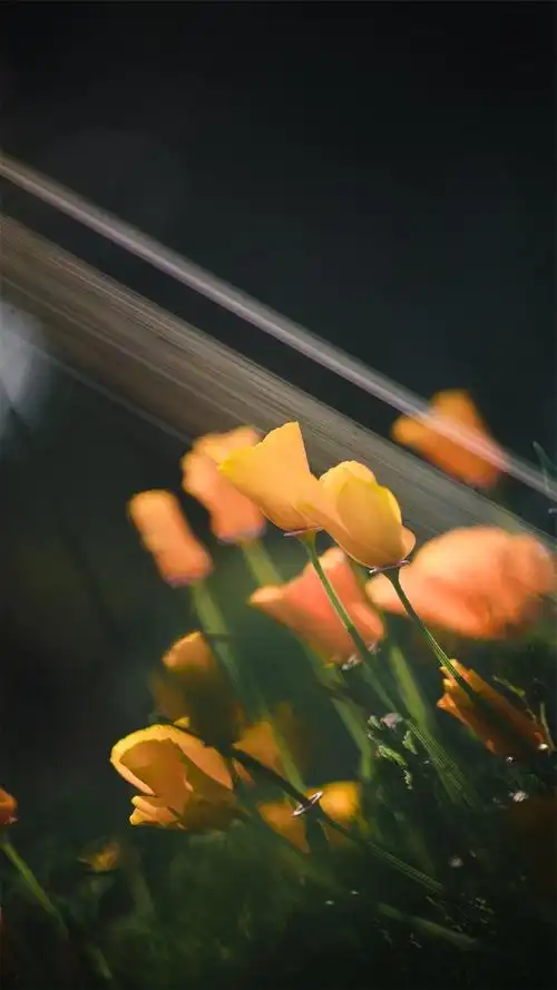 城市风光唯美自然风景手机壁纸图片-唯美-手机壁纸下载-美桌网