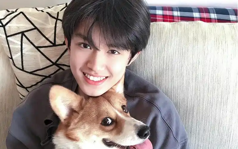 zj_0203_张极-默认收藏夹-哔哩哔哩视频