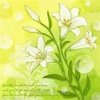 唯美百合花头像图片【点击鼠标右键下载】