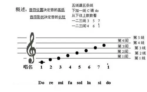 作业:同学们,请你画一画,唱一唱五线谱和小音符吧,老师期待你们展示