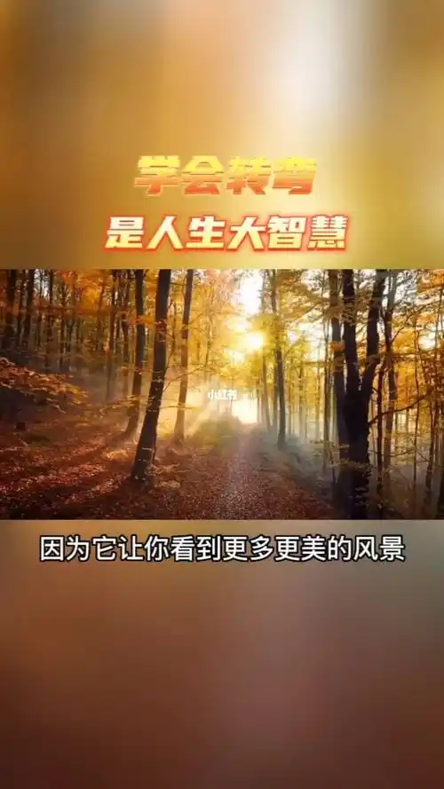 学会转弯是人生大智慧人生感悟悟道正能量