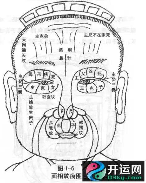 手面相看生男生女秘法面相看子女吉凶祸福