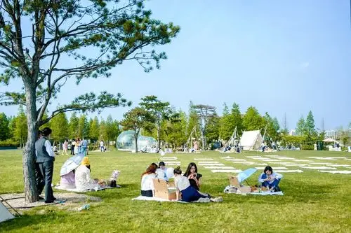 南京涵碧楼白色野餐会,草地,鲜花,帐篷,美味