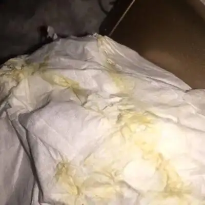 这是破羊水了吗?肚子疼