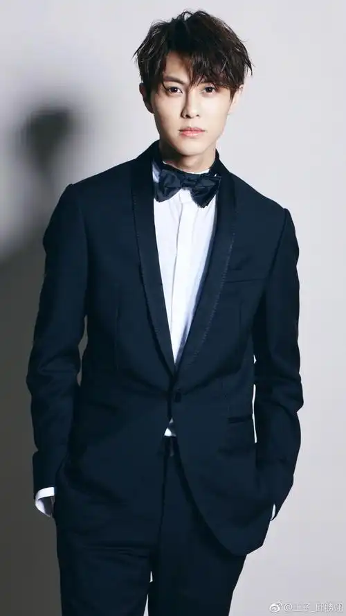 艺名王子(prince),1989年4月14日出生于台湾,中国台湾男歌手,演员