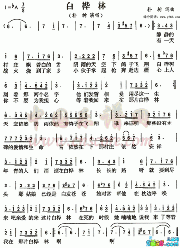 白桦林朴树简谱