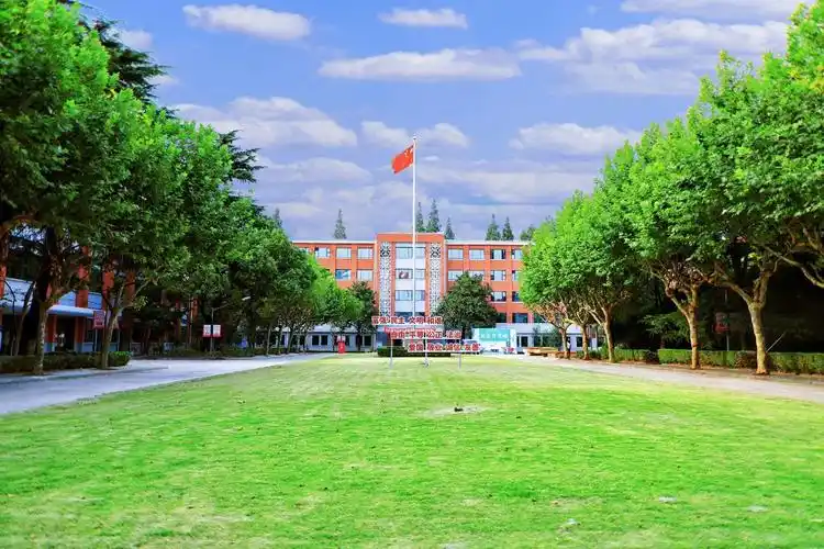 王平教授为论文的唯一通讯作者,同济大学医学院博士后研究人员李亚旭