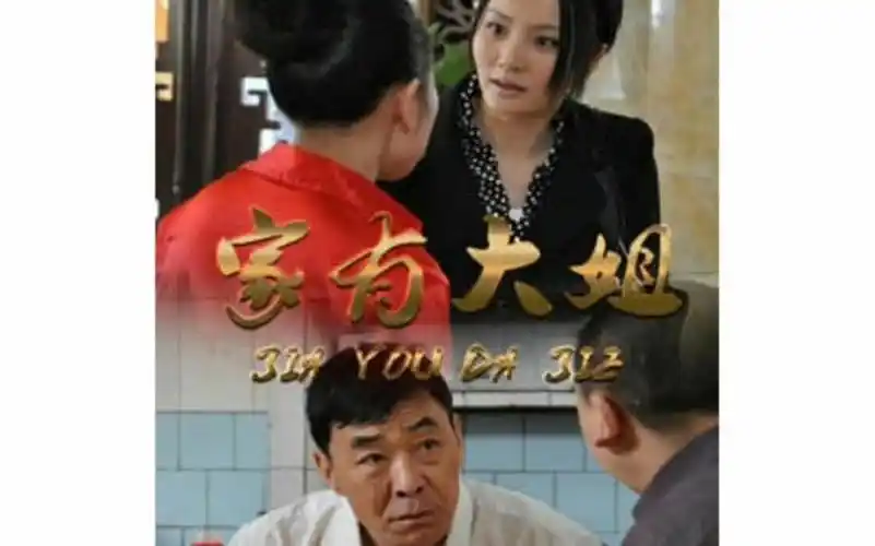 《家有大姐》陶红,刘钧,赵亮领衔主演的电视剧.