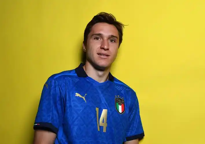 高清图:意大利队拍摄官方写真 因西涅手指队徽