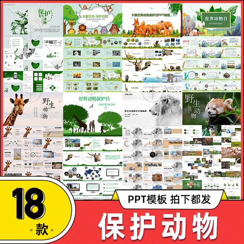 保护动物ppt模板 学生关爱护野生动物珍惜生命ppt主题班会素材图