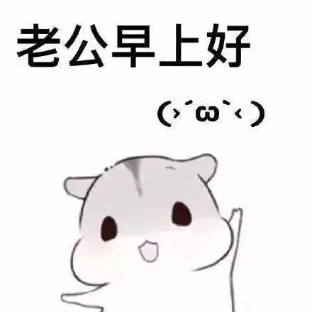 首页 软件 网络工具 表情包大全 喊老公(什么梗)表情包小仓鼠版软件