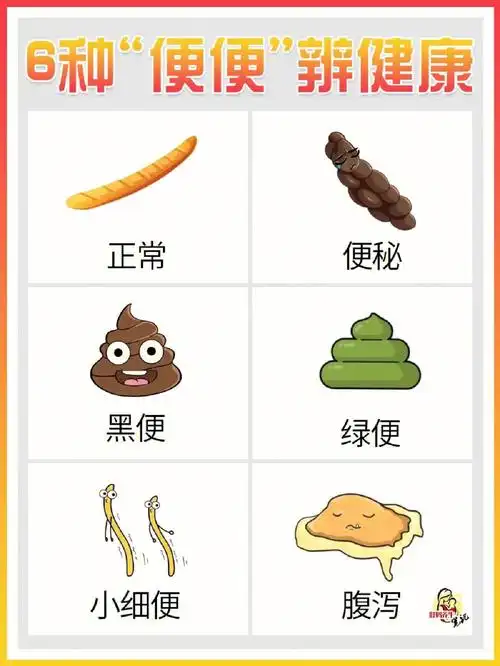 6种便便看健康73便秘调理攻略要收藏