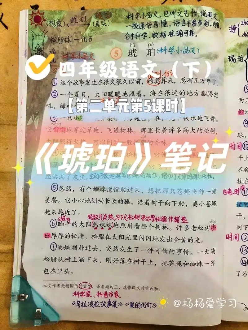 四年级(下)《琥珀》课堂笔记