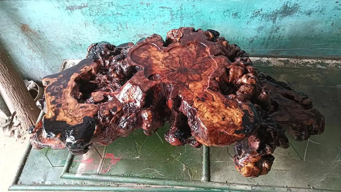 治宝根艺作品柿子树根茶桌与香椿树根花架 - 抖音