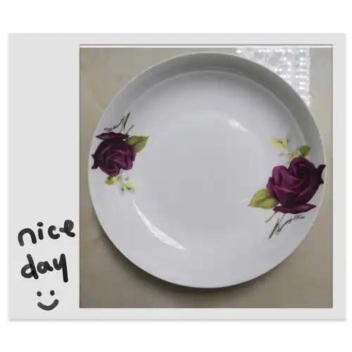 8,圆盘一个(也可用家里的其它圆形物品代替)