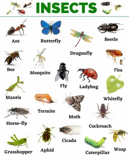 那你不妨试试我的《零基础搞定1000单词课》  用各种搞笑,有趣,有料的