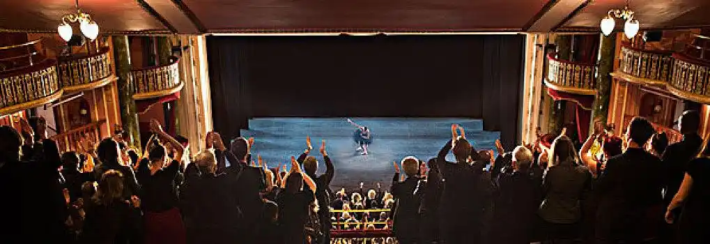 观众,欢呼,剧院