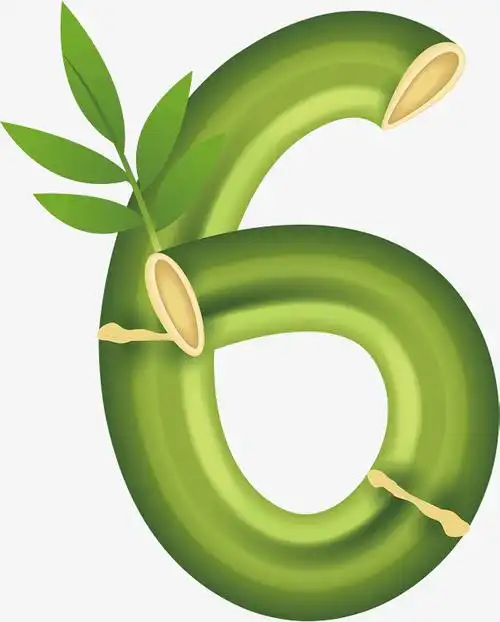 2016新年数字阿拉伯数字6清新绿色竹子艺术数字矢量素材