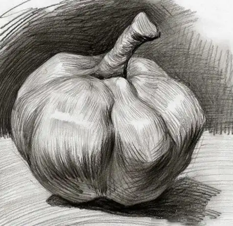 【素描静物】步骤学习,单个临摹,鉴赏