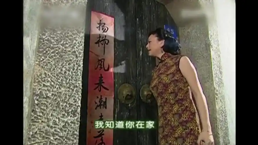 这次轮到雪姨自己开门了