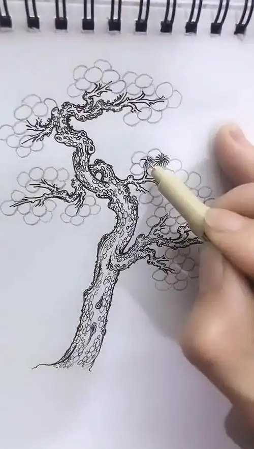 【白描松树】松树的白描技法.