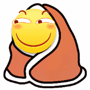 滑稽裹着各种品牌被子15