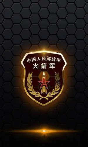 拥军自取各大部队臂章