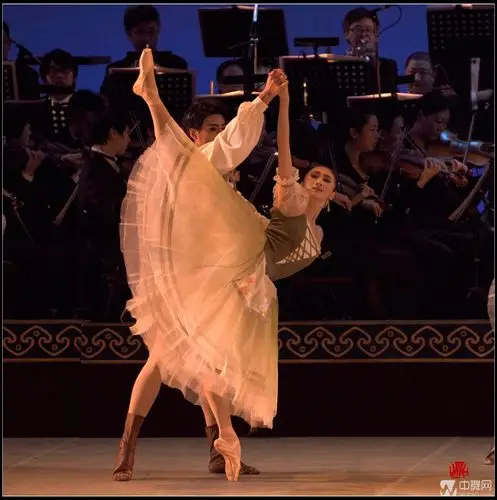 中央芭蕾舞团《圆舞曲之夜——2015新年芭蕾音乐会》【高清剧照】