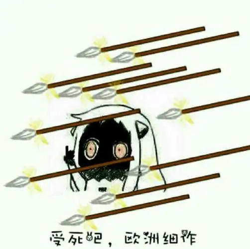 我寮没氪4ssr的欧洲细作,各位有什么想说的