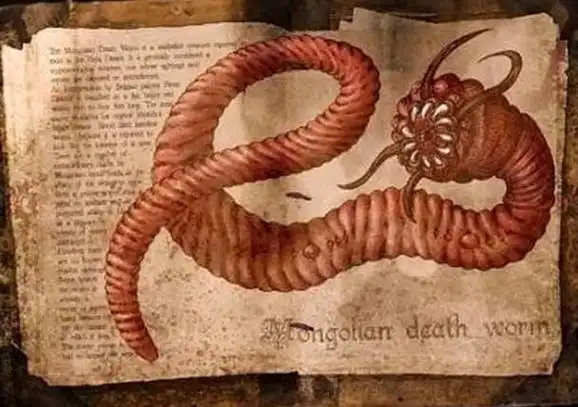 沙漠里的死亡蠕虫真的存在吗?蒙古死亡蠕虫的天敌是什么