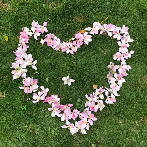 现成摆好的心形花环