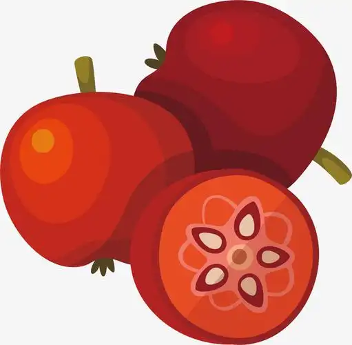 矢量图红艳艳的山楂