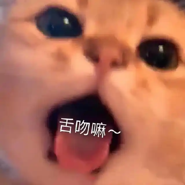 情侣聊天表情包