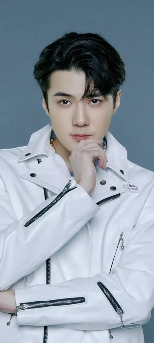 吴世勋出演电影海盗2