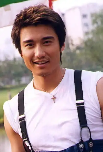 胡兵电视剧,闫妮打高亚麟(闫妮和胡兵演的电视剧)