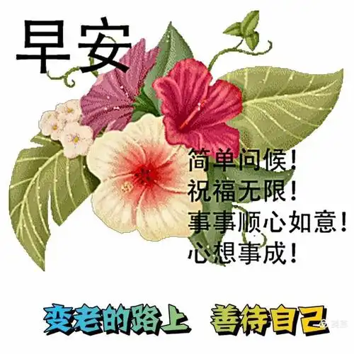 早上好美图图片 - 美篇