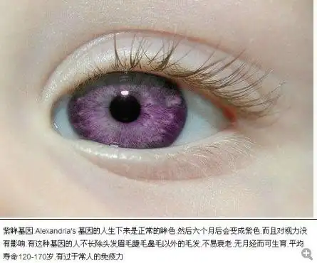 真的存在紫眸基因吗?