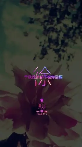 我姓徐.姓氏壁纸