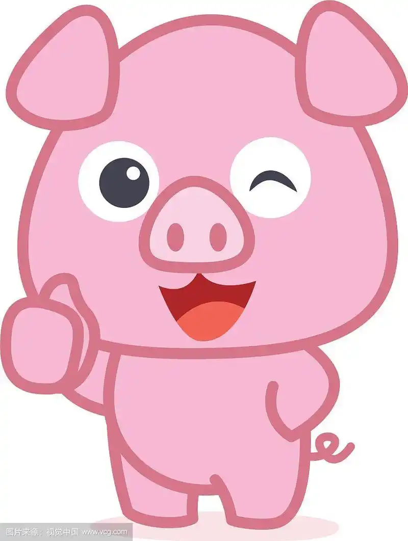 卡通人物可爱的猪