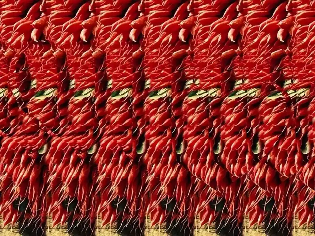 来了,来了,三维立体图来啦! 你能发现它里面的奇妙世界么?