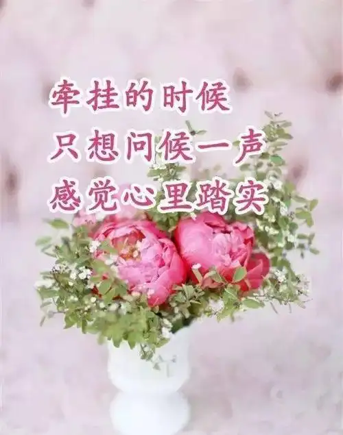 一份美好的问候