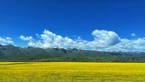 旅途iphone12mini随拍